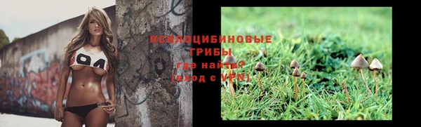 молекула духа Пересвет
