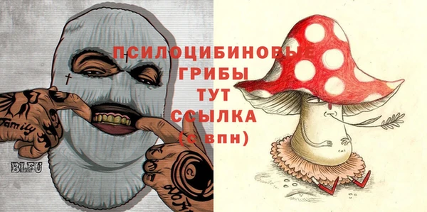 PSILOCYBIN Остров