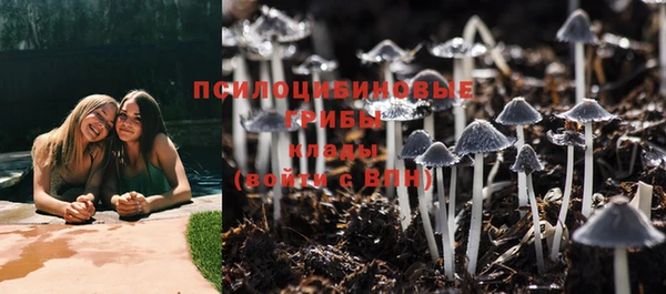 молекула духа Пересвет