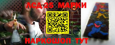 крисы Беслан