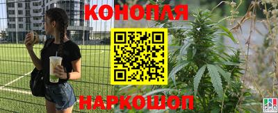 прущие грибы Берёзовский