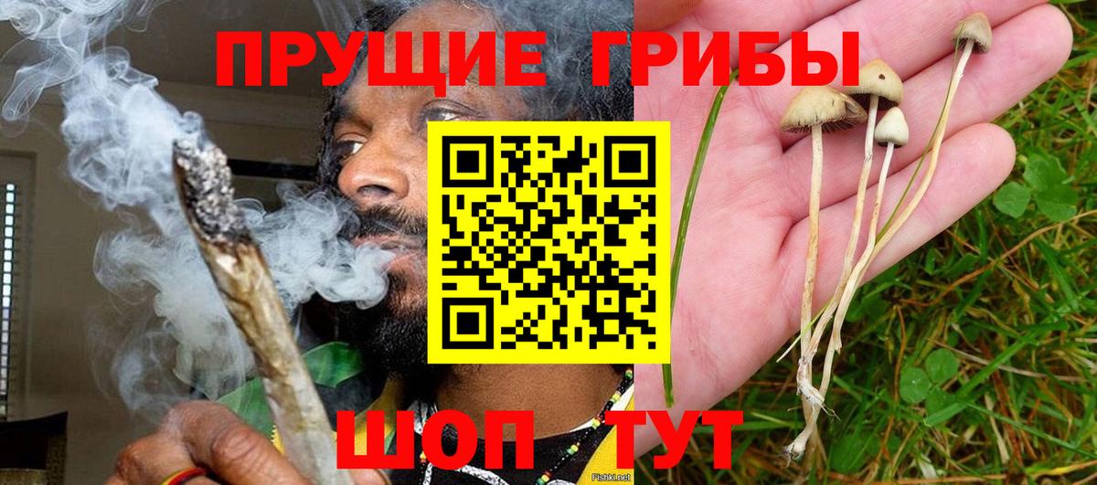 Галлюциногенные грибы Psilocybe  Галлюциногенные грибы мицелий  Уфа 
